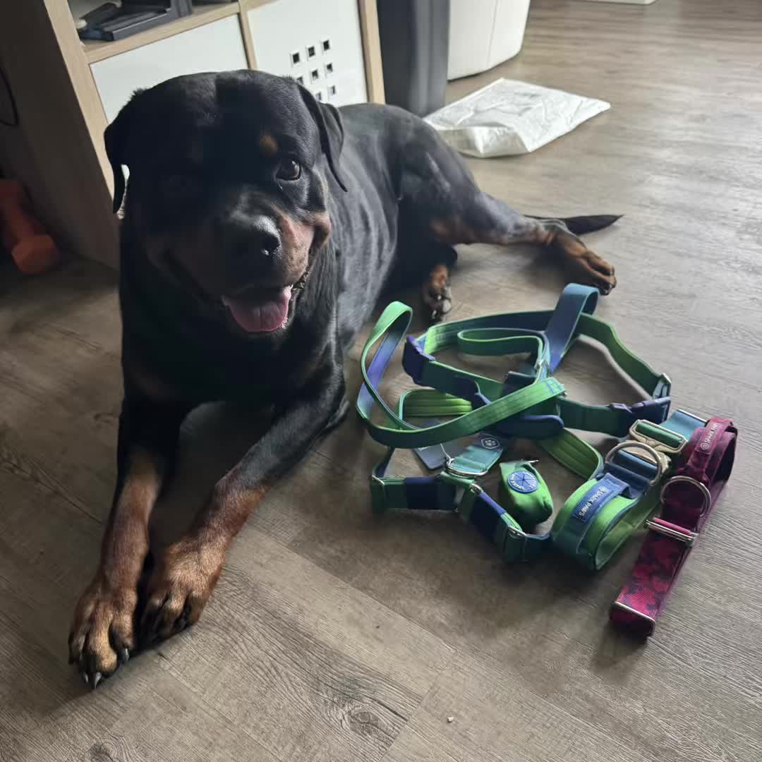 @Saphir🥰🐾