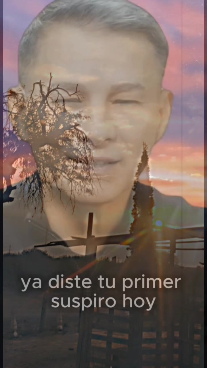 @dani