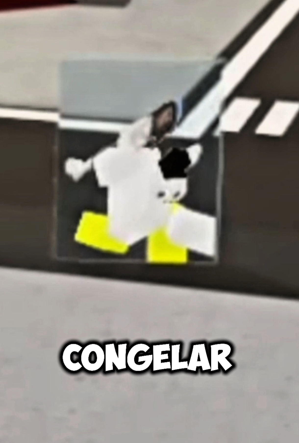 @Mz coelhão