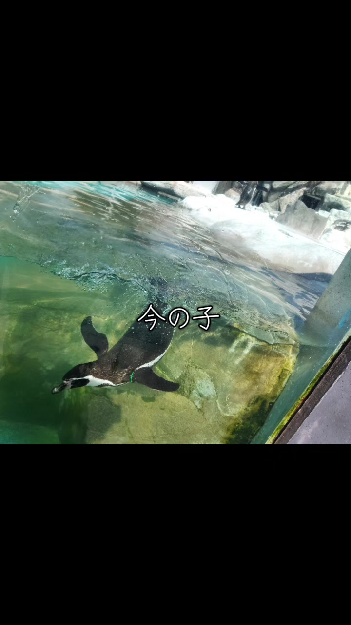 @☄️🐬hyu‼️🐬☄️