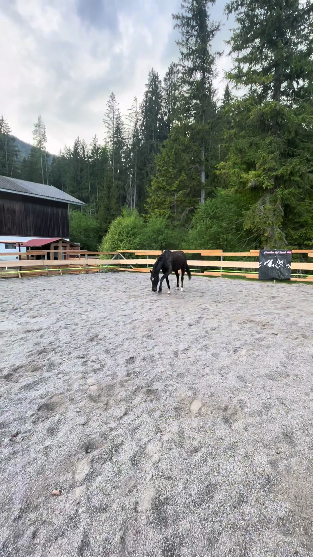 @Mountain Hill Ranch 🇦🇹