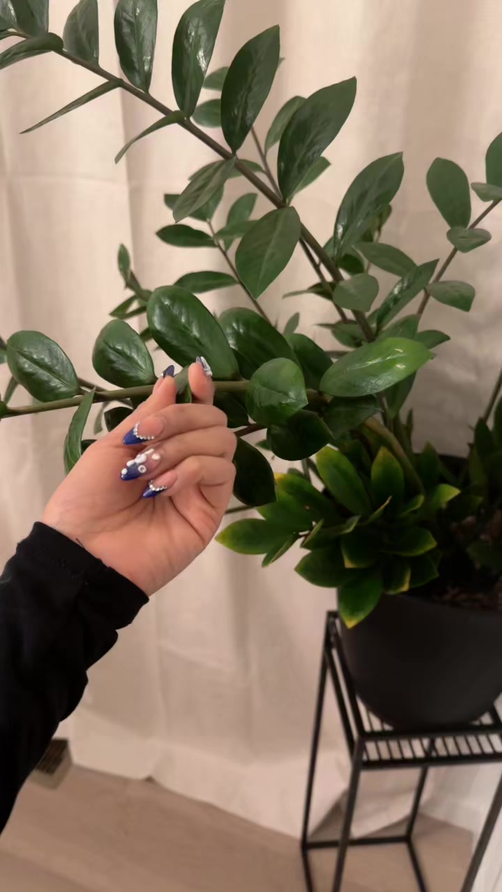 @Spicy 🌶️