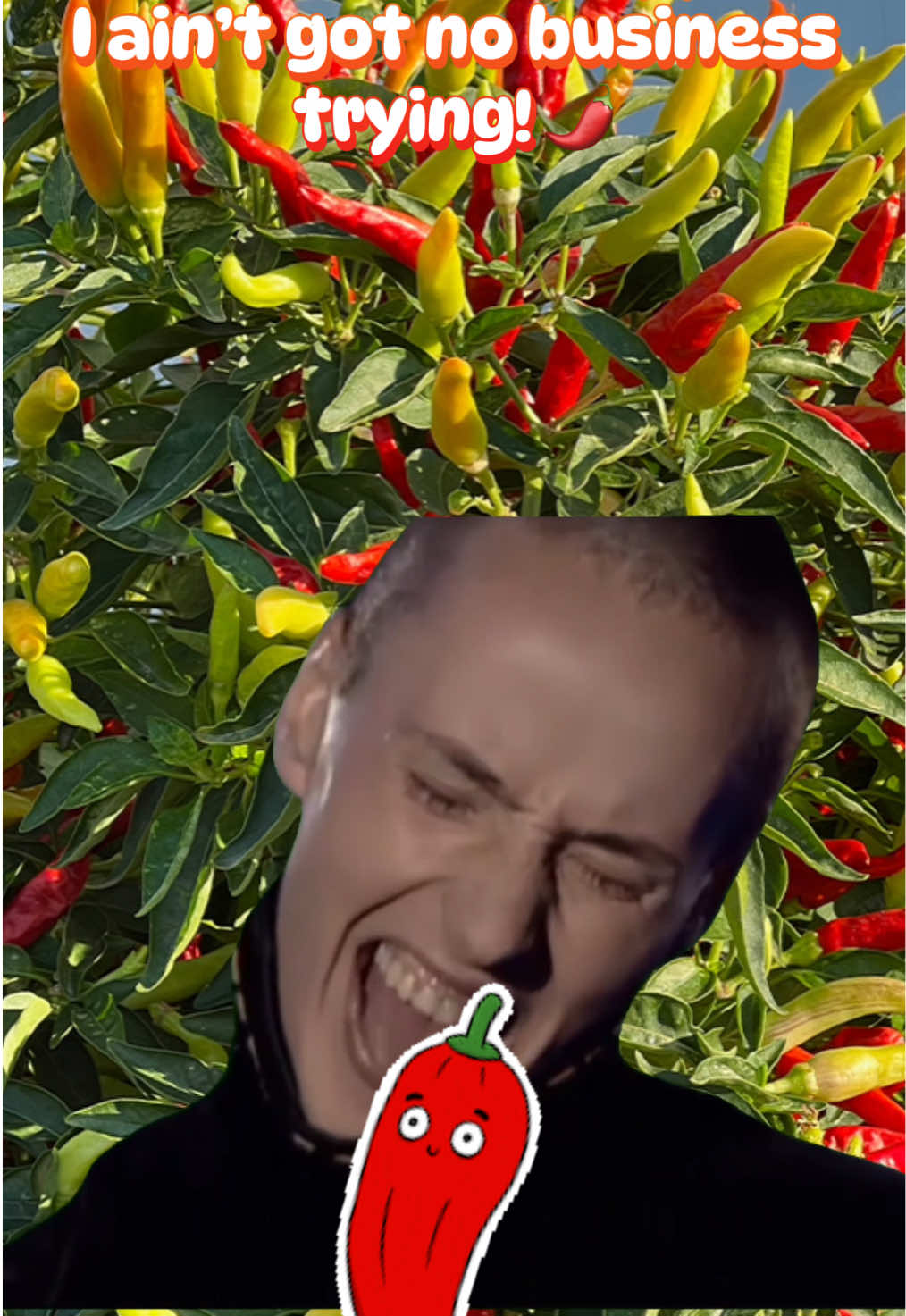 @Trevinsherbsandspice