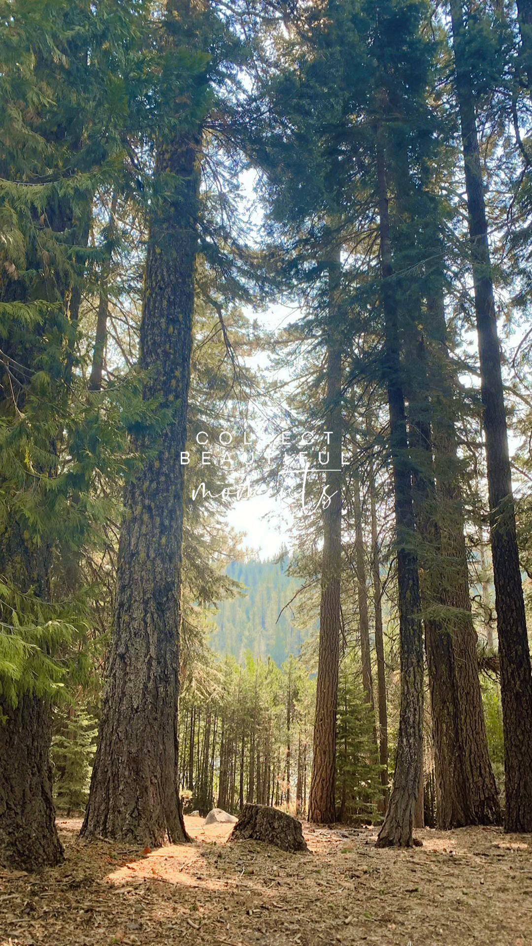 @Heidi ❌ outdoors woman