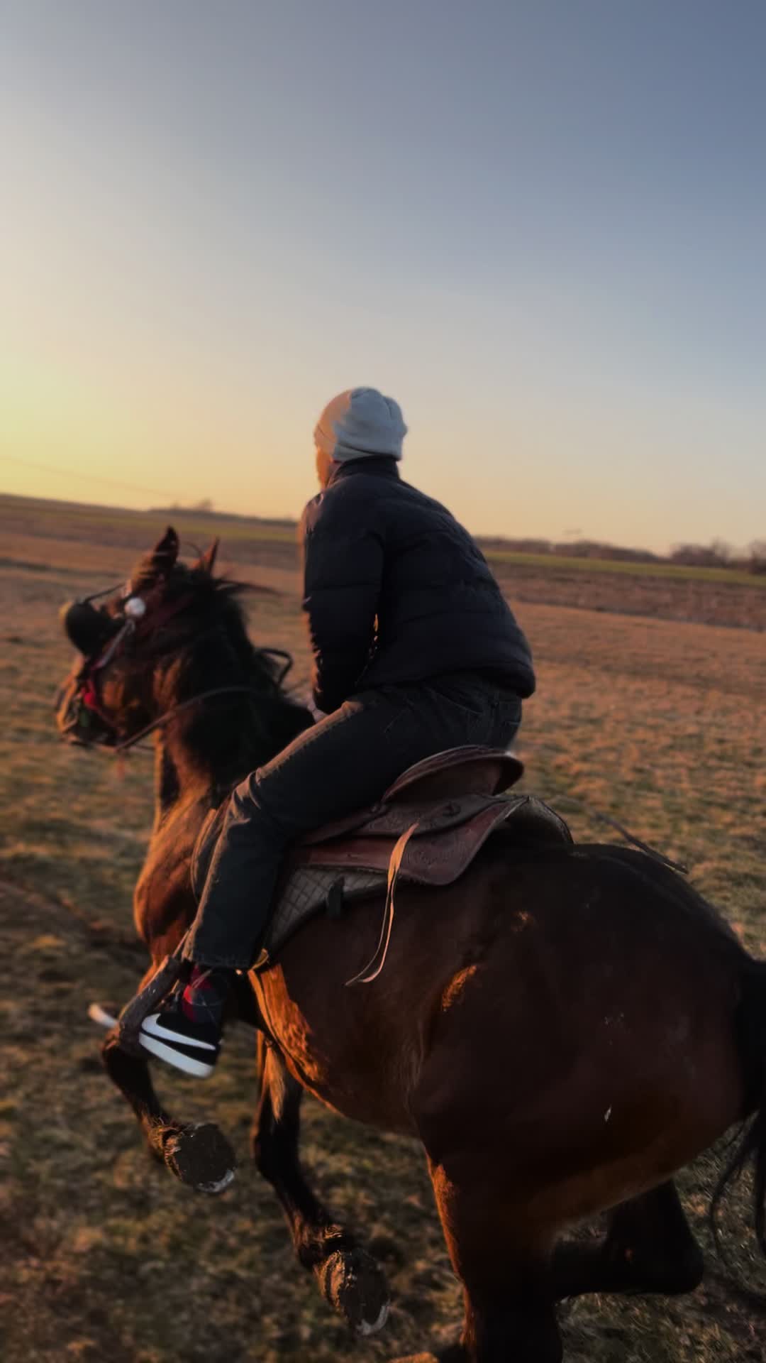 @BERTI RANCH 🐎