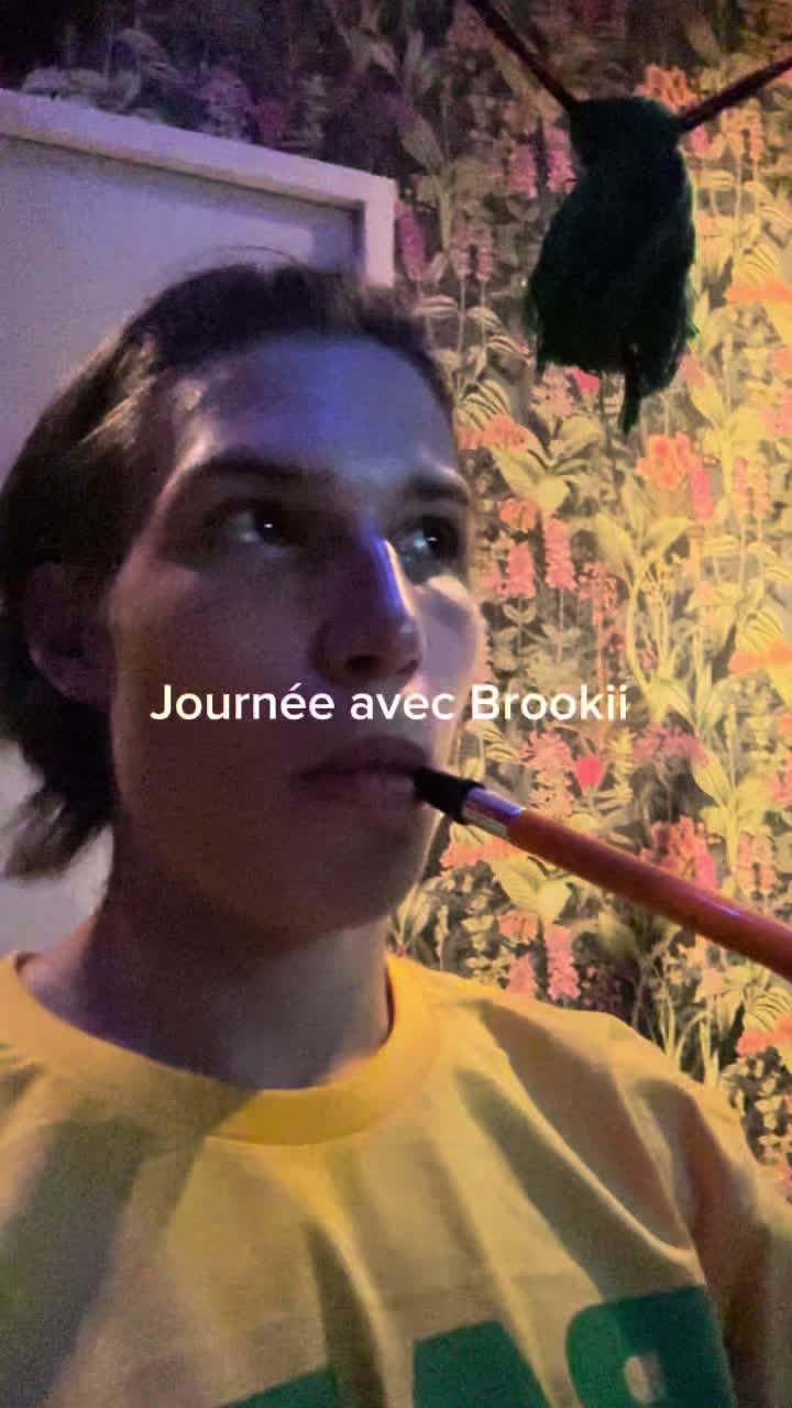 @brookiihustle