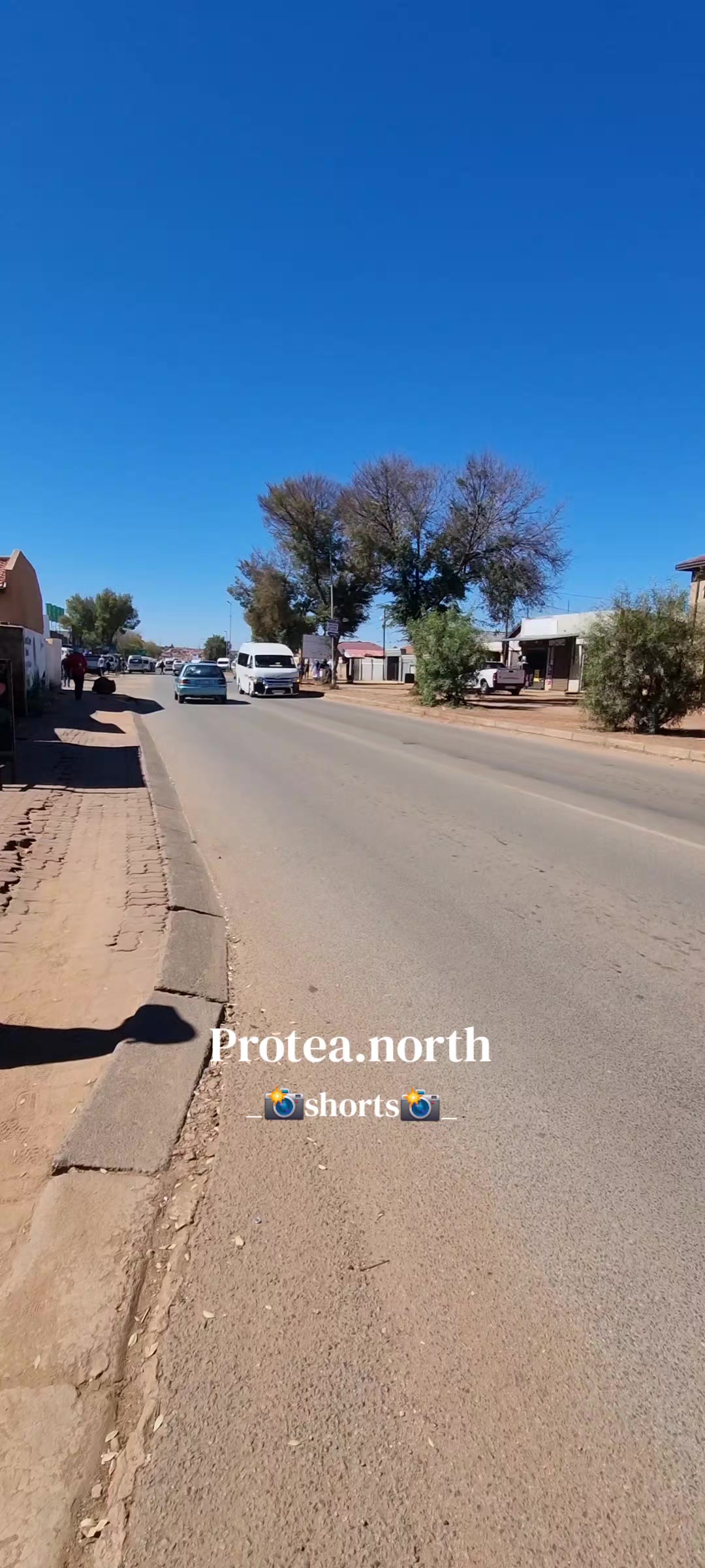 @Protea.north_shorts_
