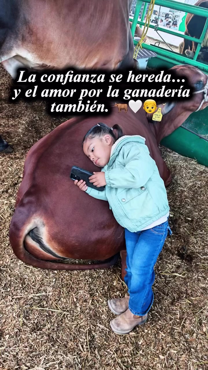 @Rancho Piedra Nube