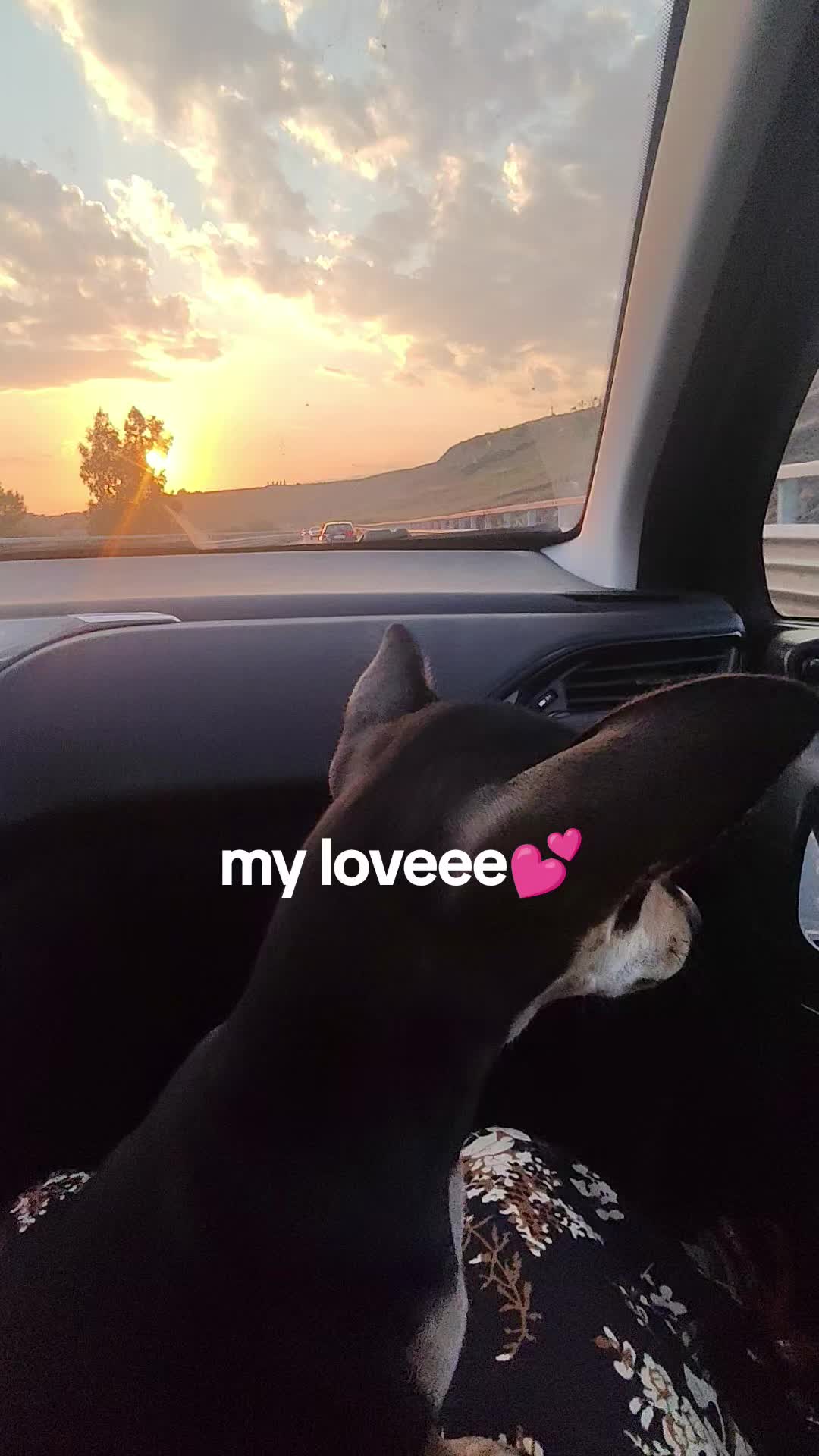 @Mimi🌹✨