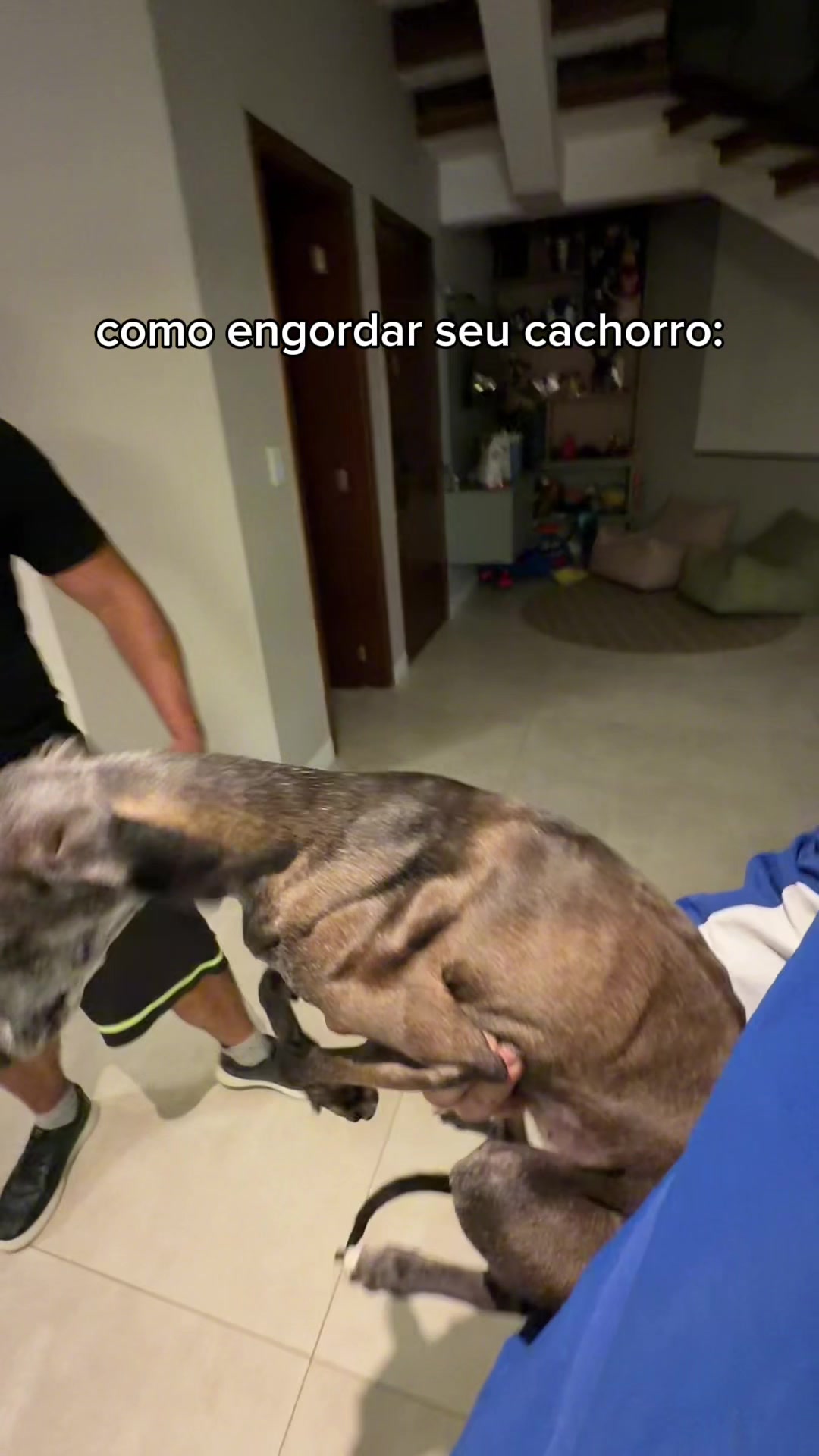 @Caiox