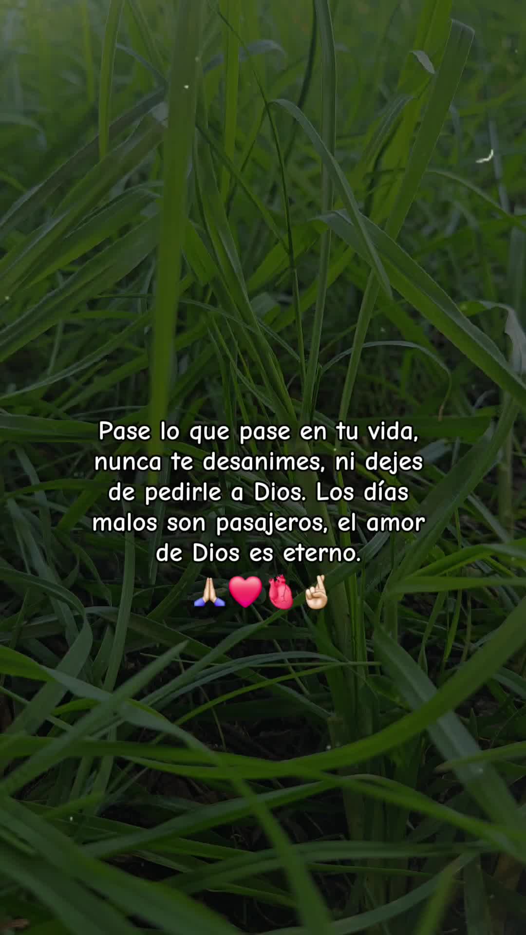 @😁*Luis*😁