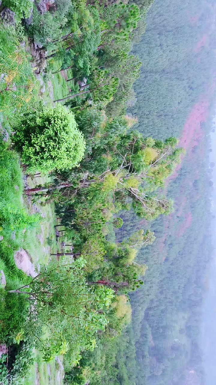 @بابرحان 2363699998🇵🇰