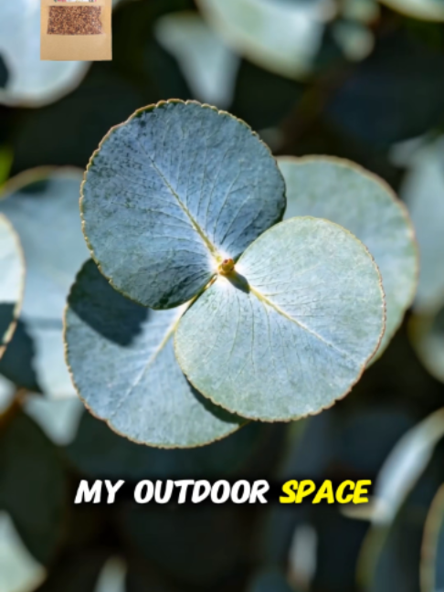 @Leaflooms-US