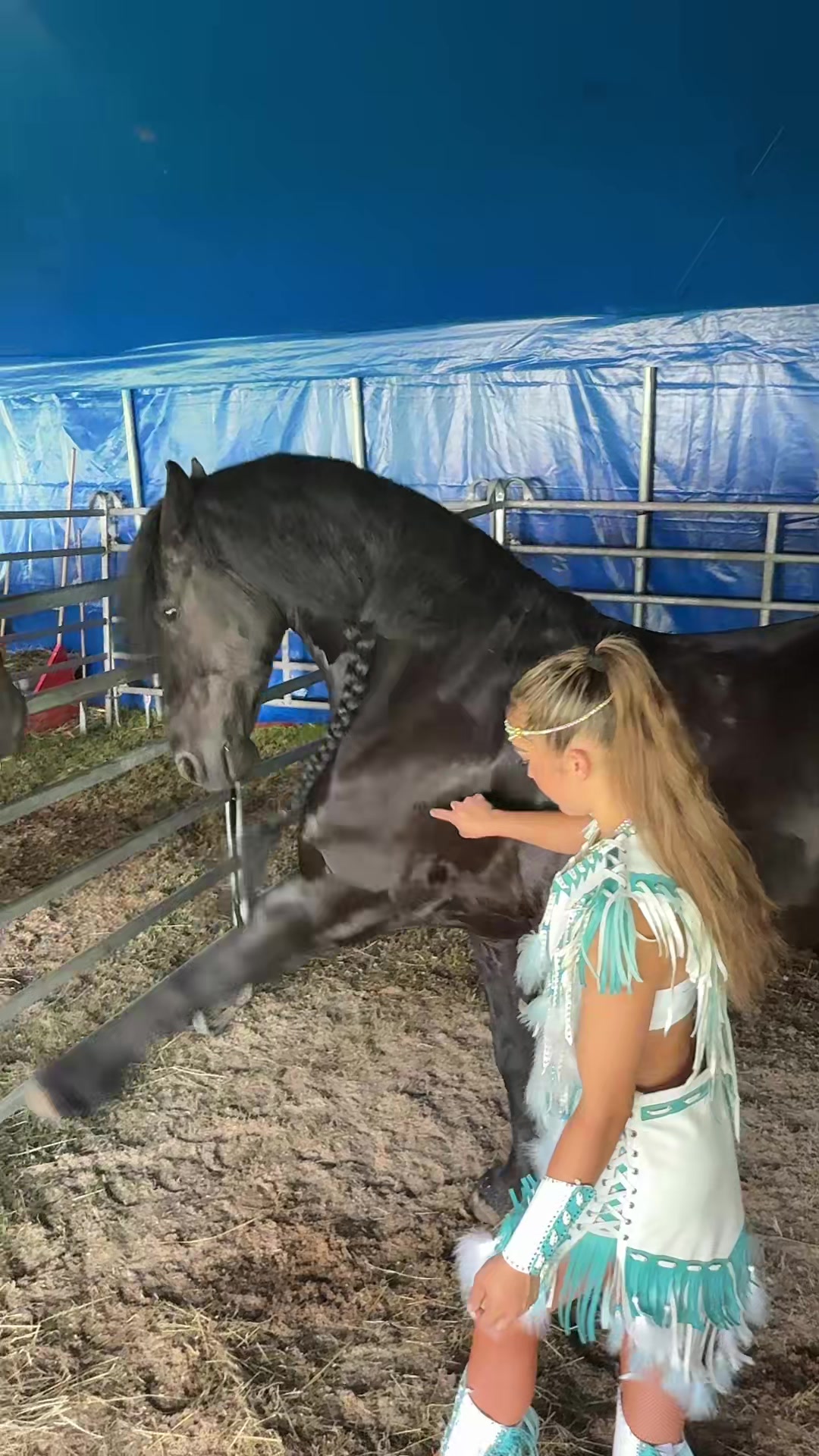 @Horses