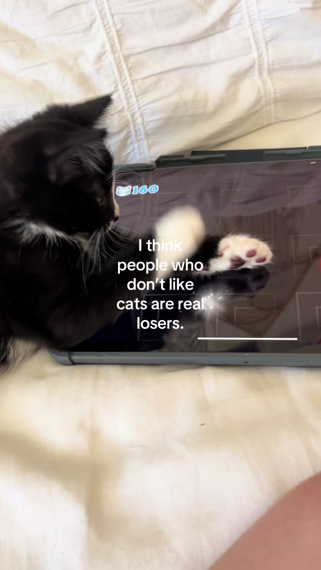 @๐๐๐๐๐หโโฎ
