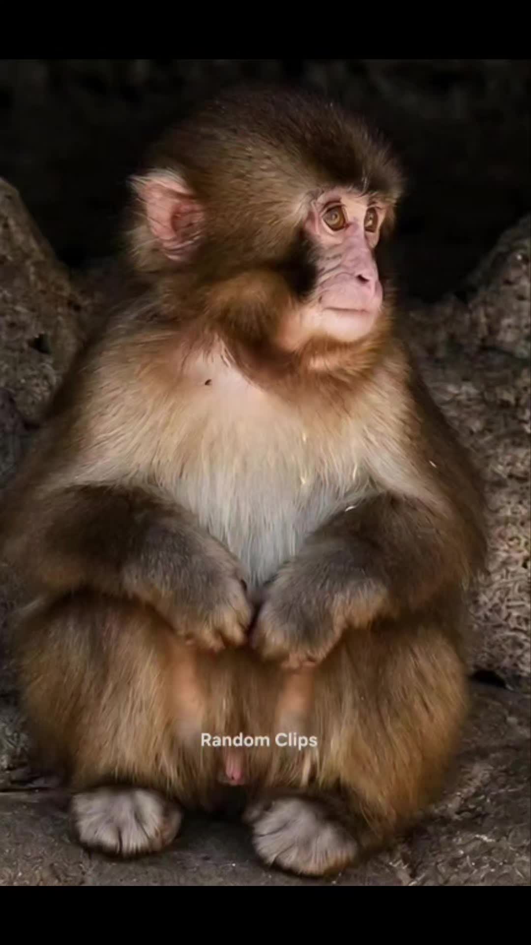 @RandomClips