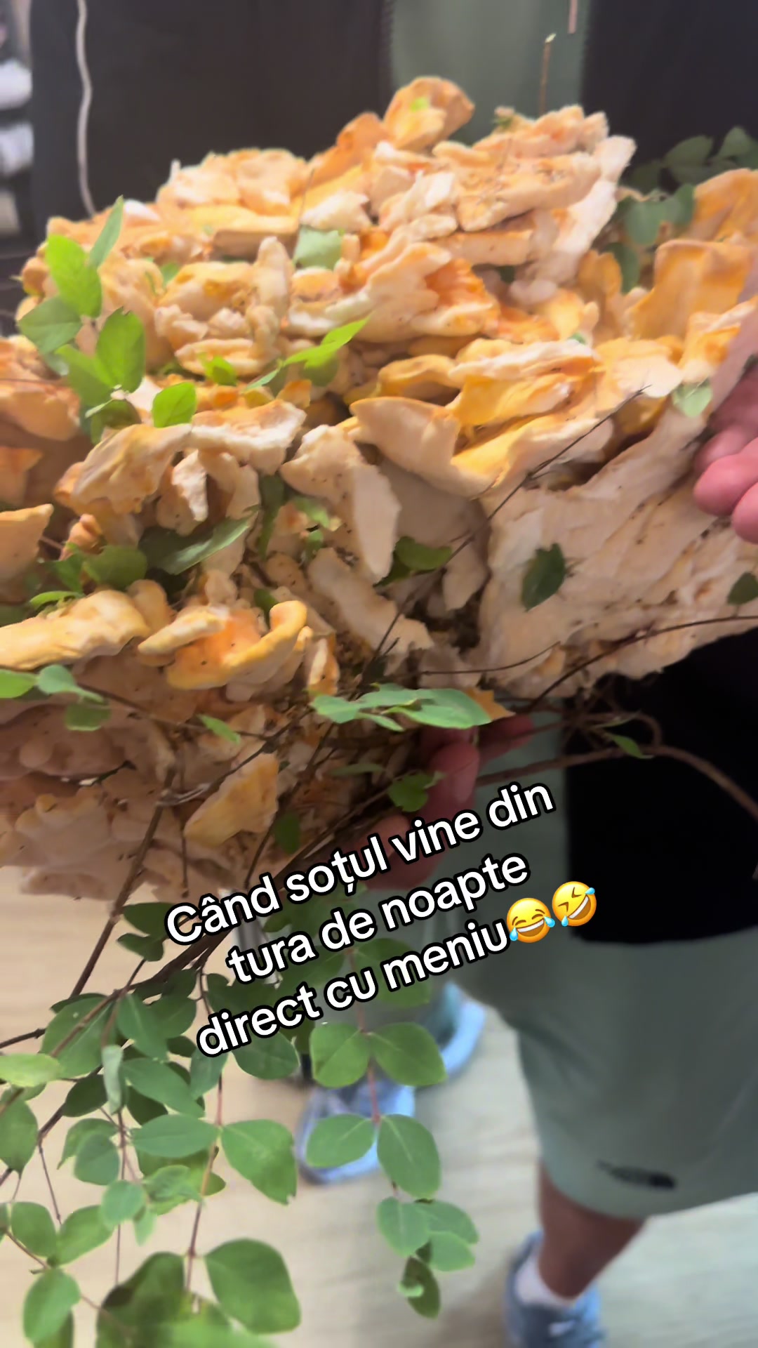 @Anișoara💎