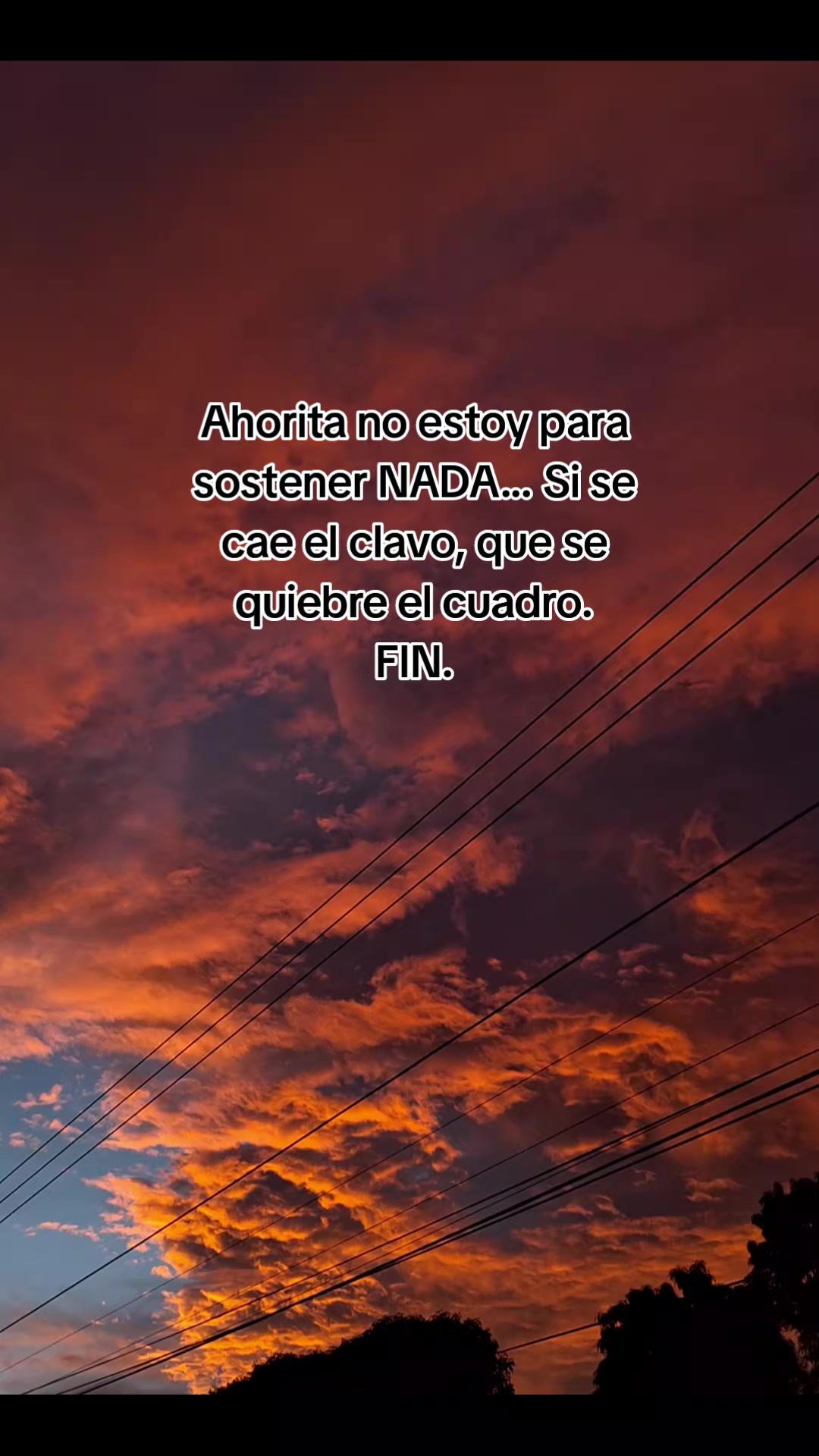 @🌠Joĥaŋa🇲🇽🕷