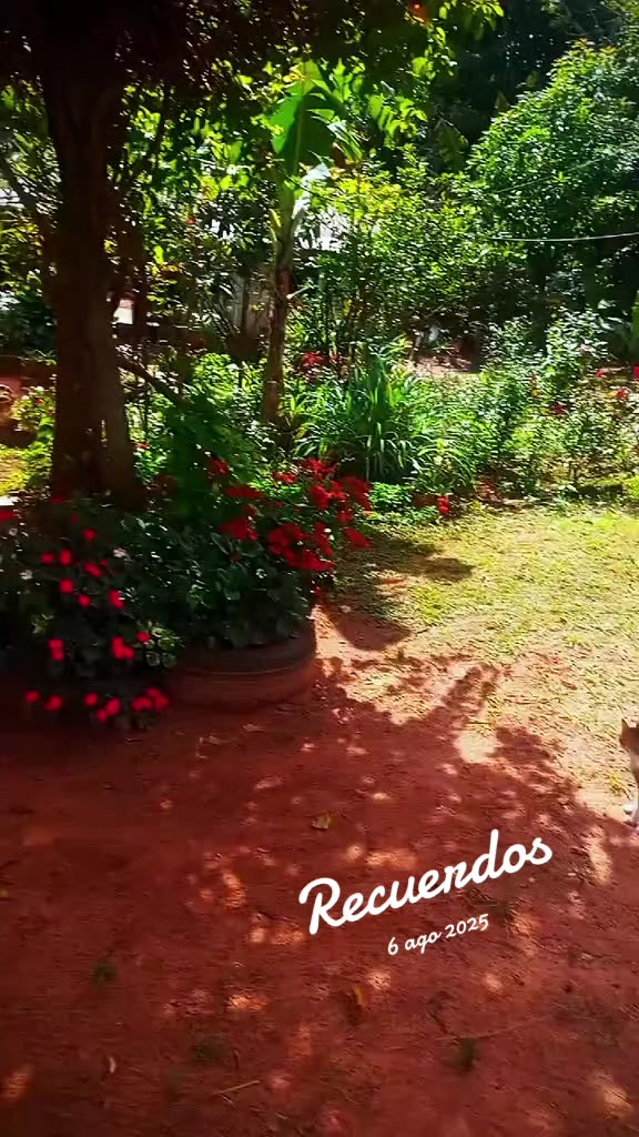 @bellakoNato...