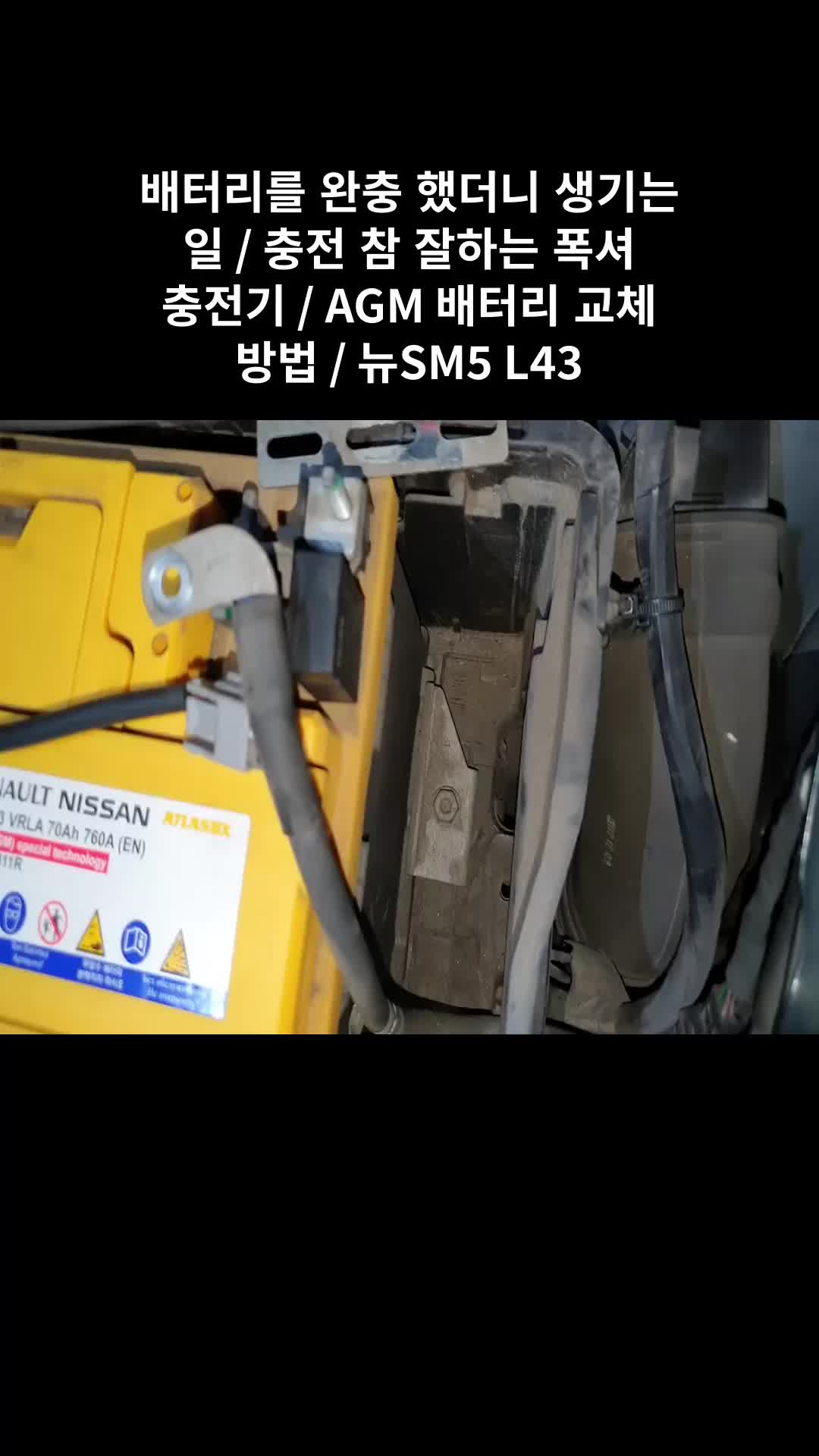 @귀여운친구