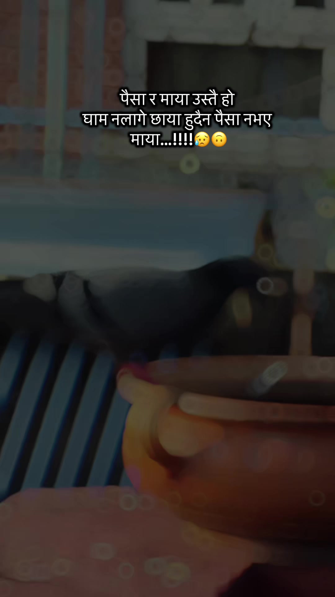 @Your 𓆩💜𓆪Ｂ&omicron;&yen;𓆩💜𓆪