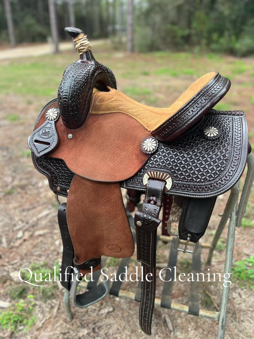 @Qualified Saddle Cleaning
