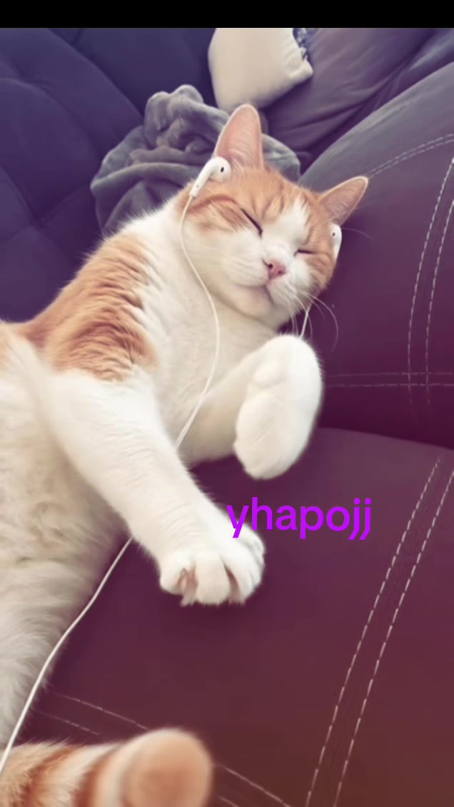 @:/
