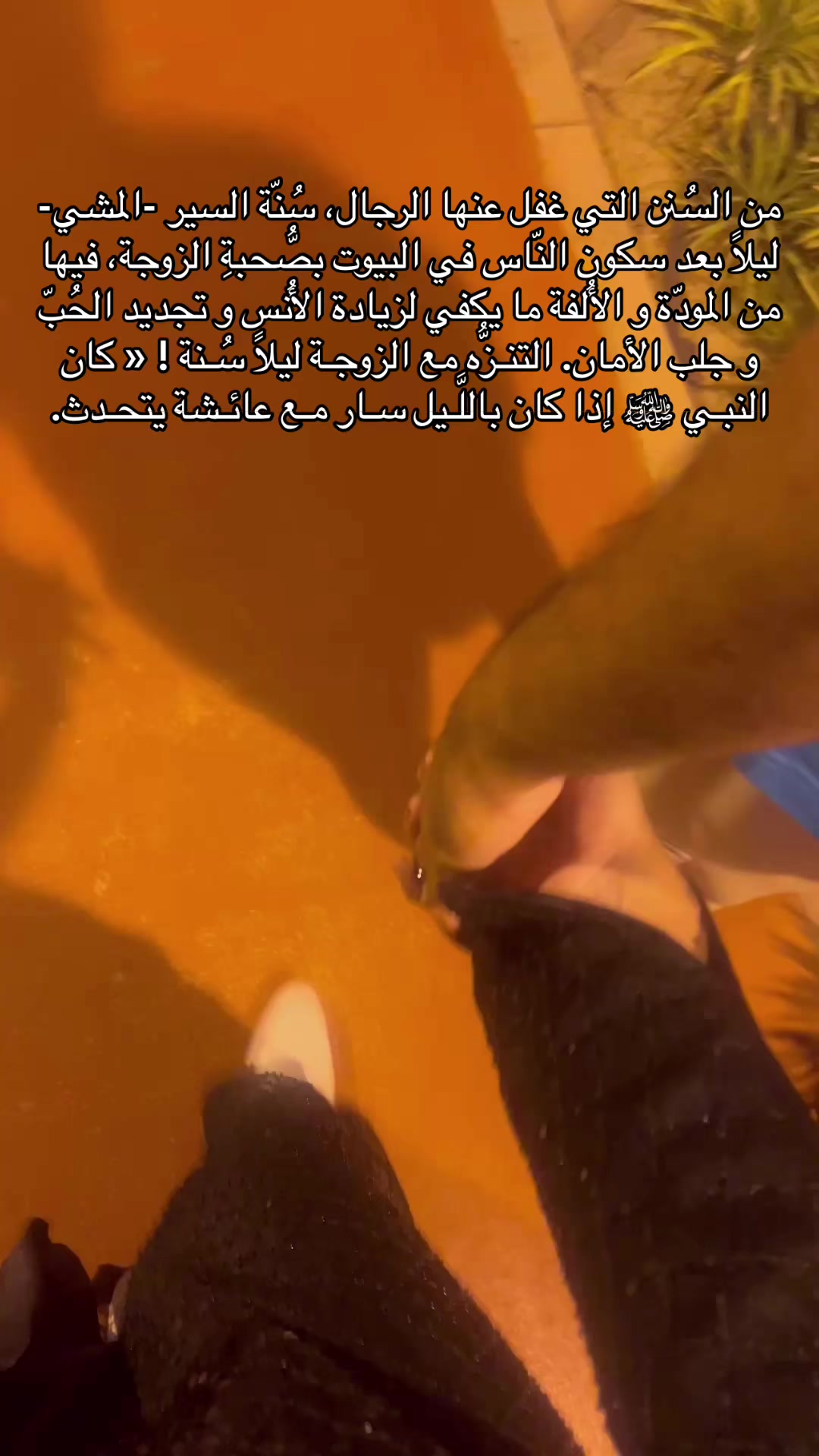 @Razan ♛『أم زايــــــــد』♛