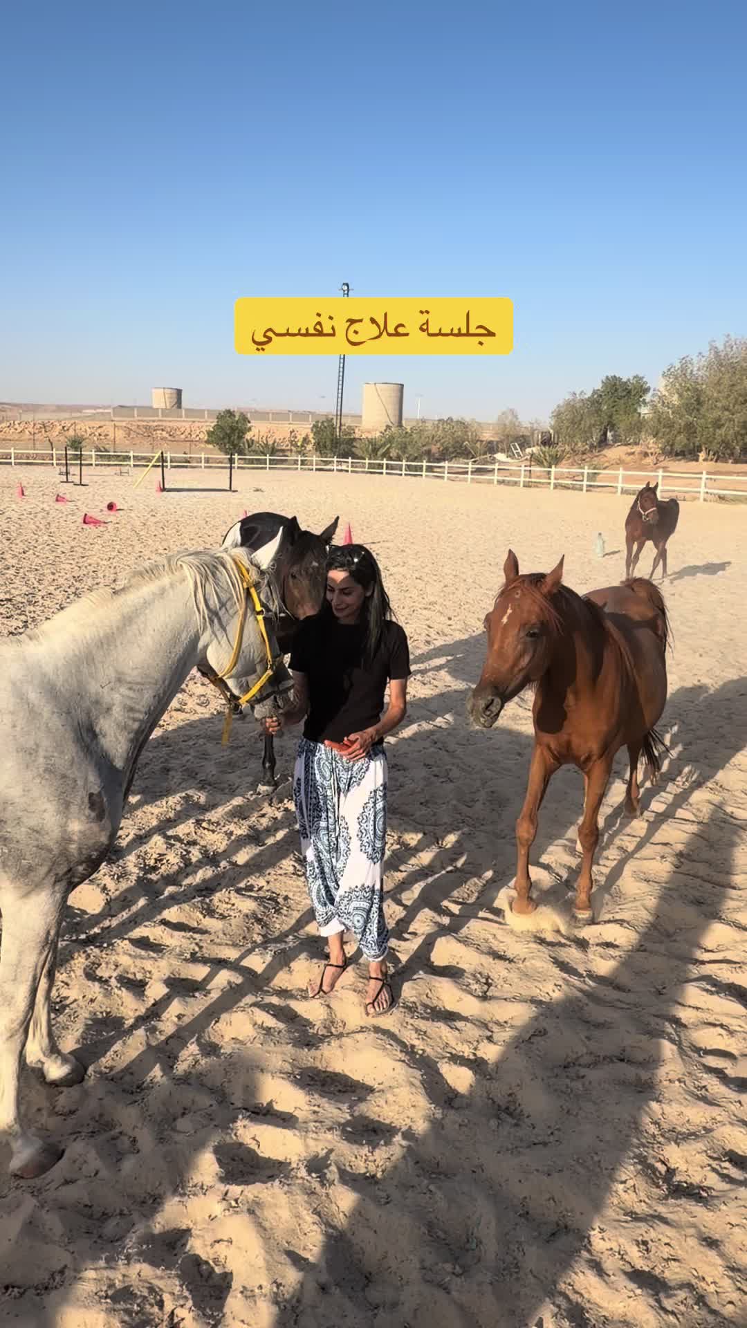 @Horsey.blee