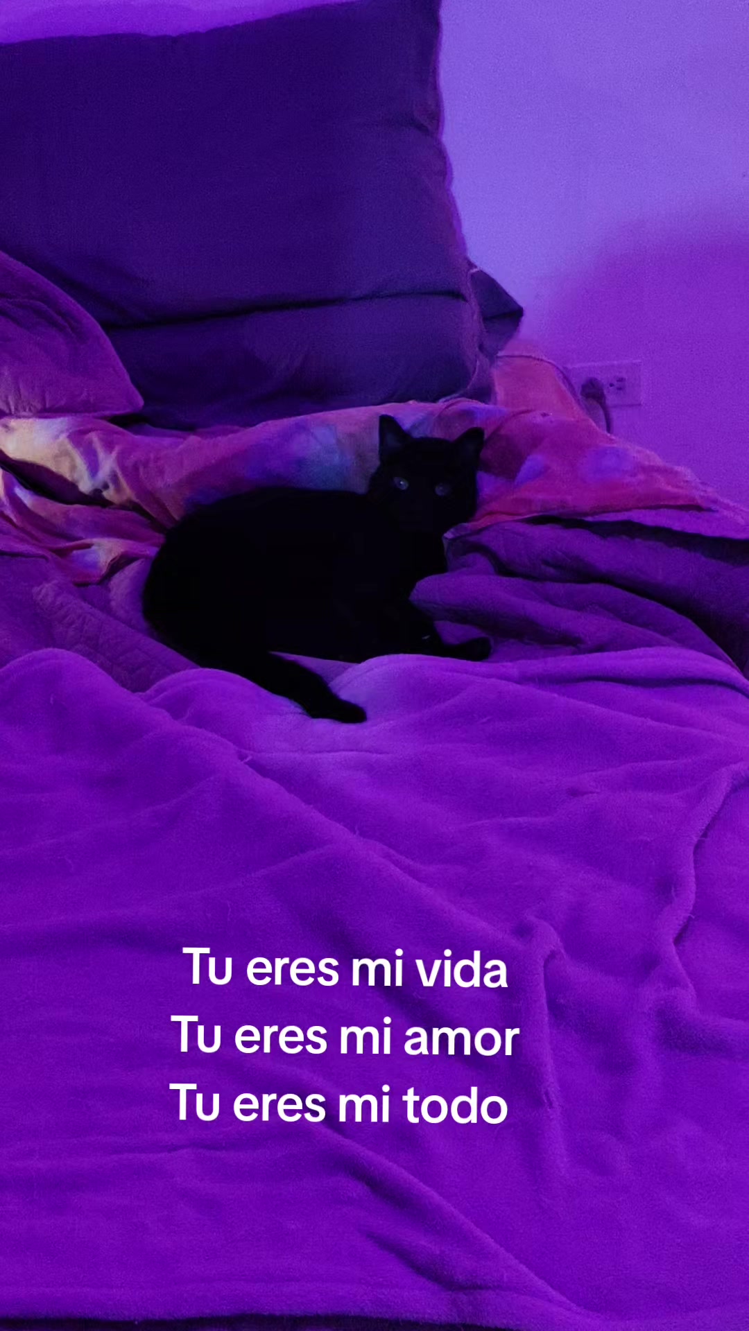 @Angie Tatiana