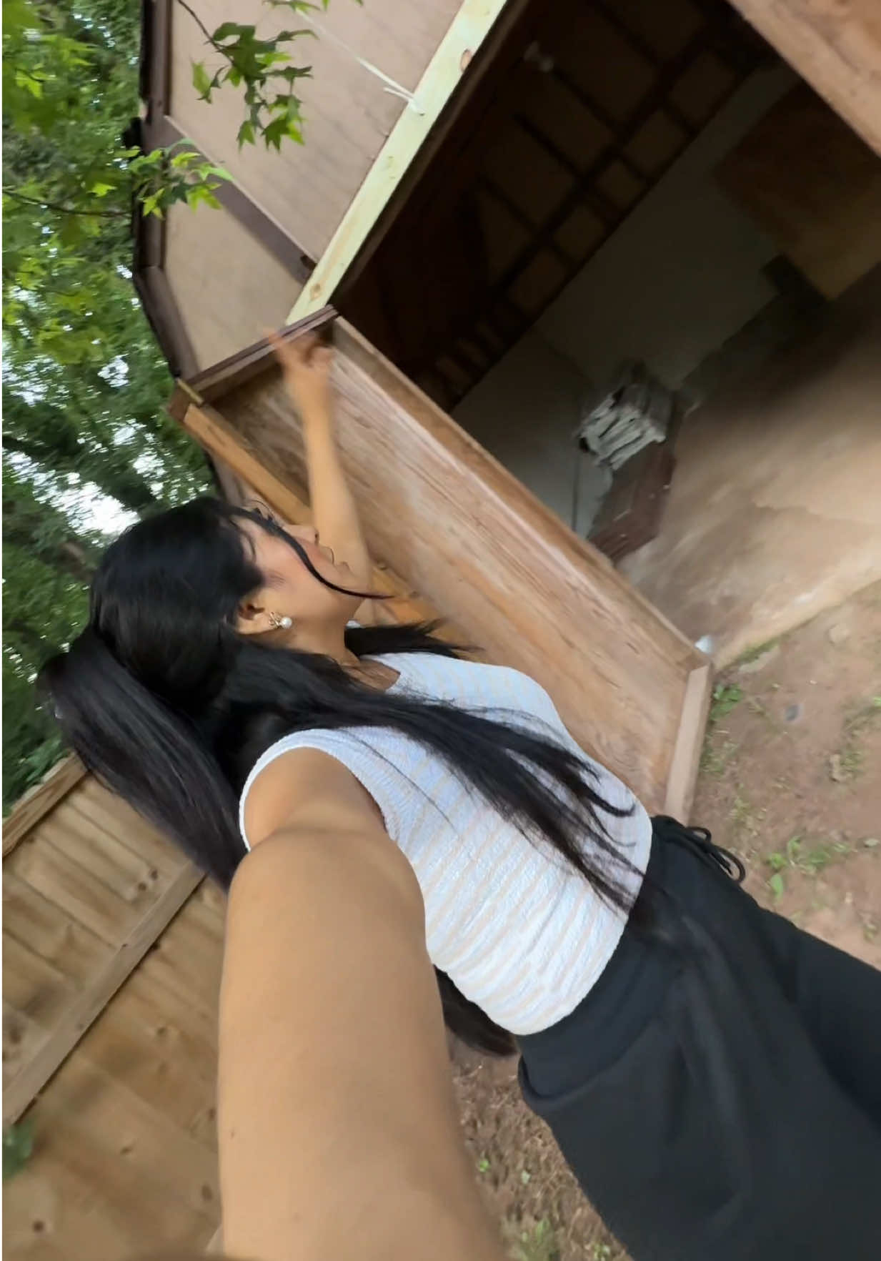 @Lisbeth Suasnabar | Mini vlogs