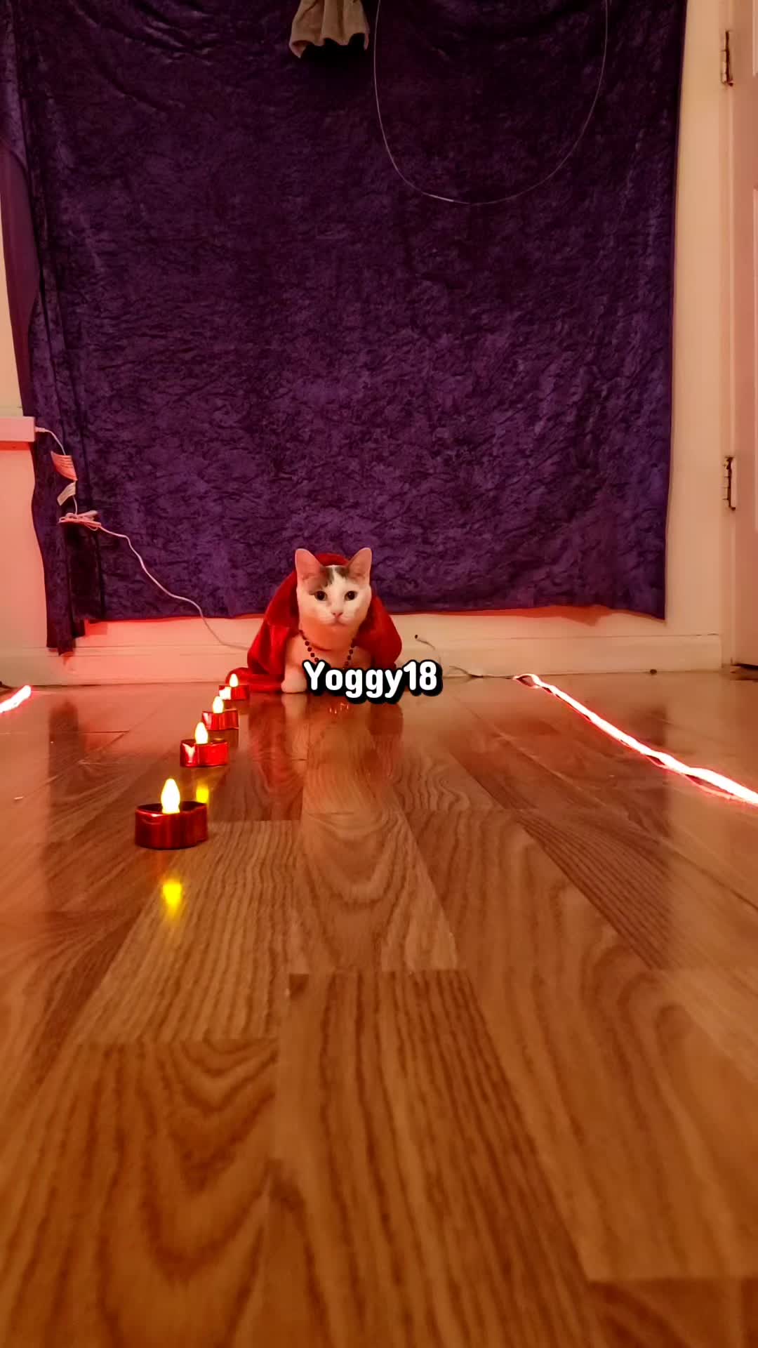 @yoggy18