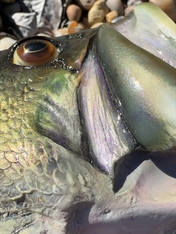 @Custom Bait Shop