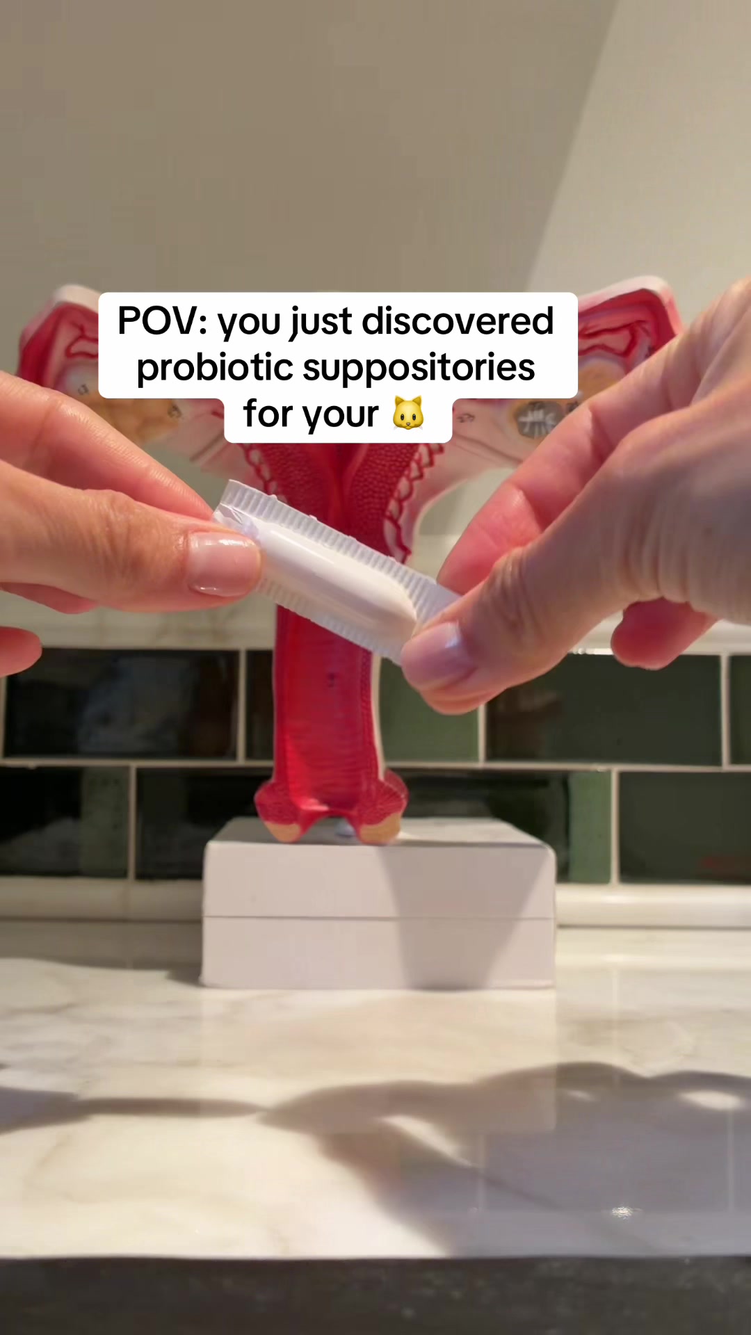 @Evvy