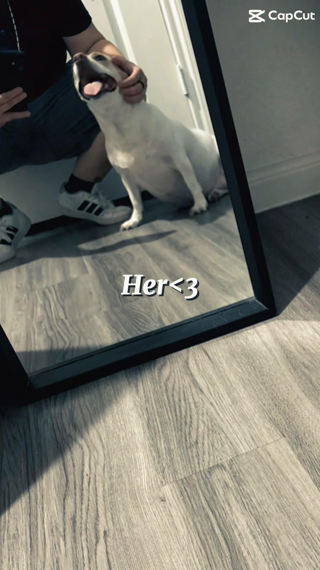 @G