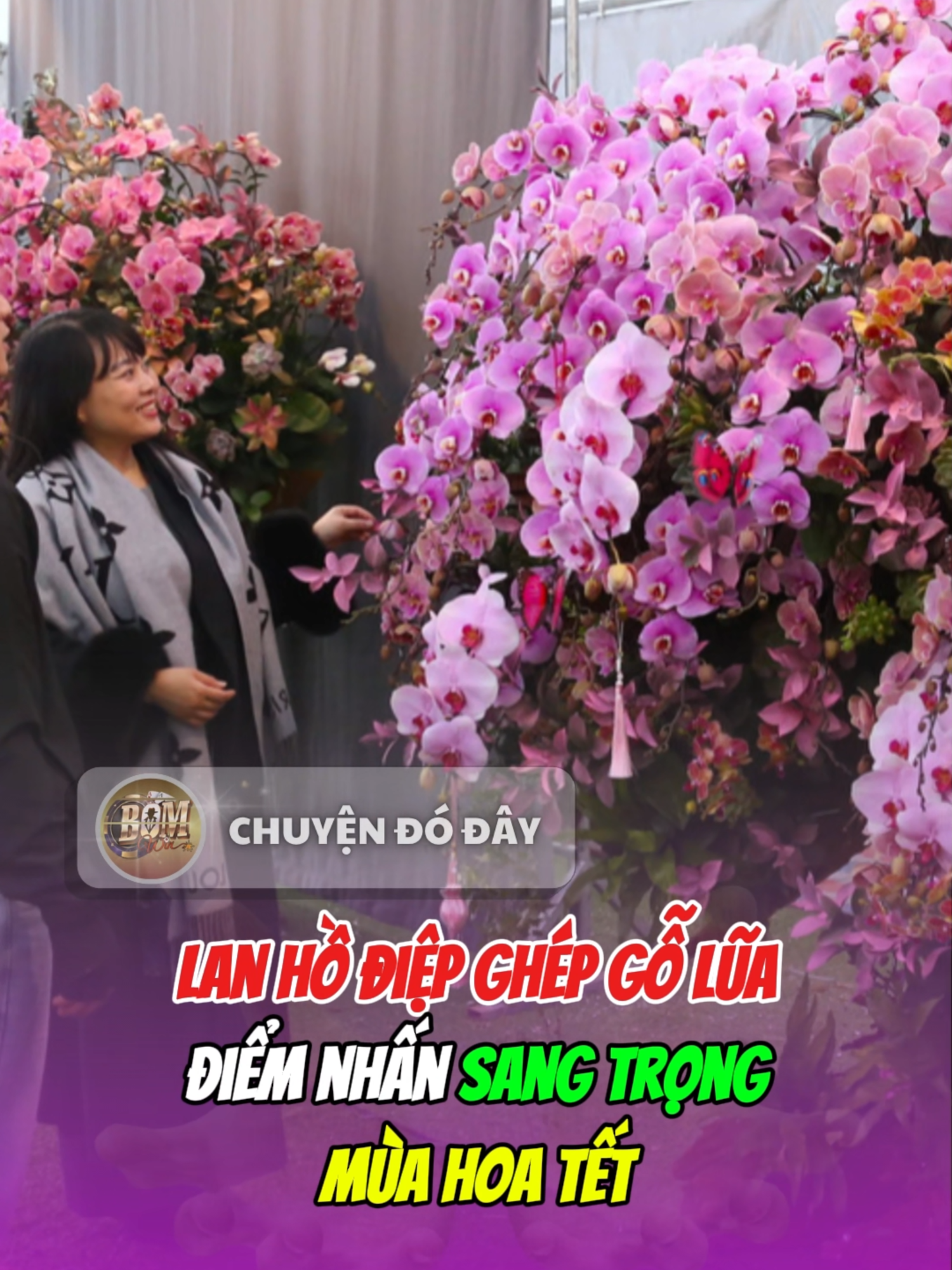 @Chuyện đ&oacute; đ&acirc;y