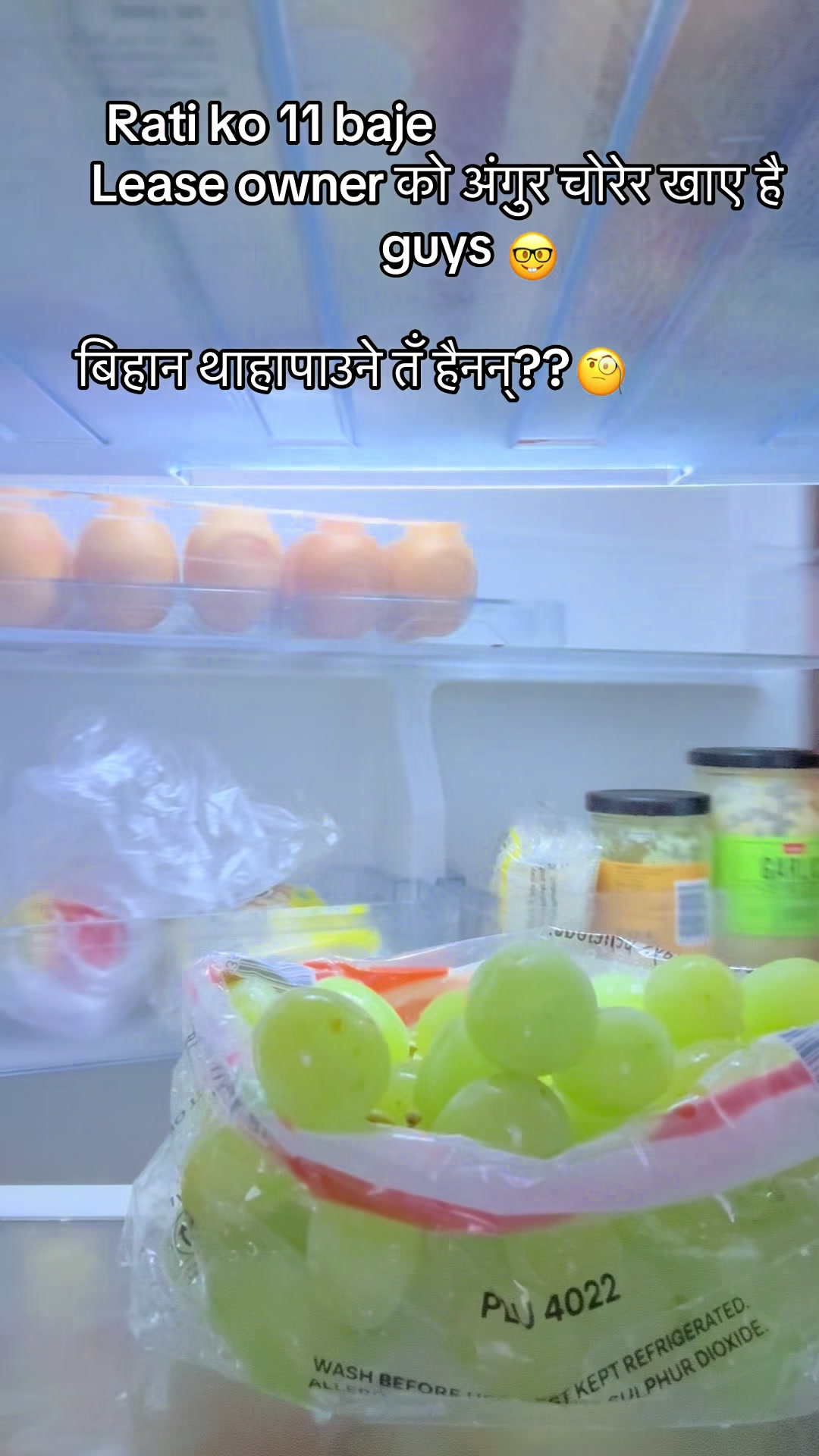 @भोटु~1996!