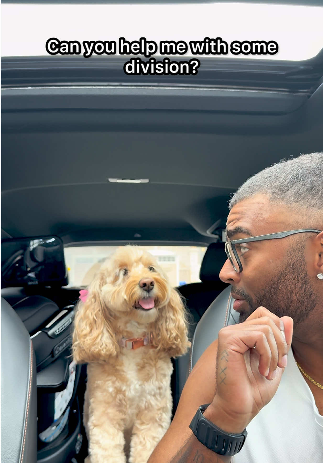 @LunaTheMiniCockapoo
