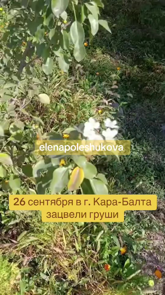 @Новости karabalta_87