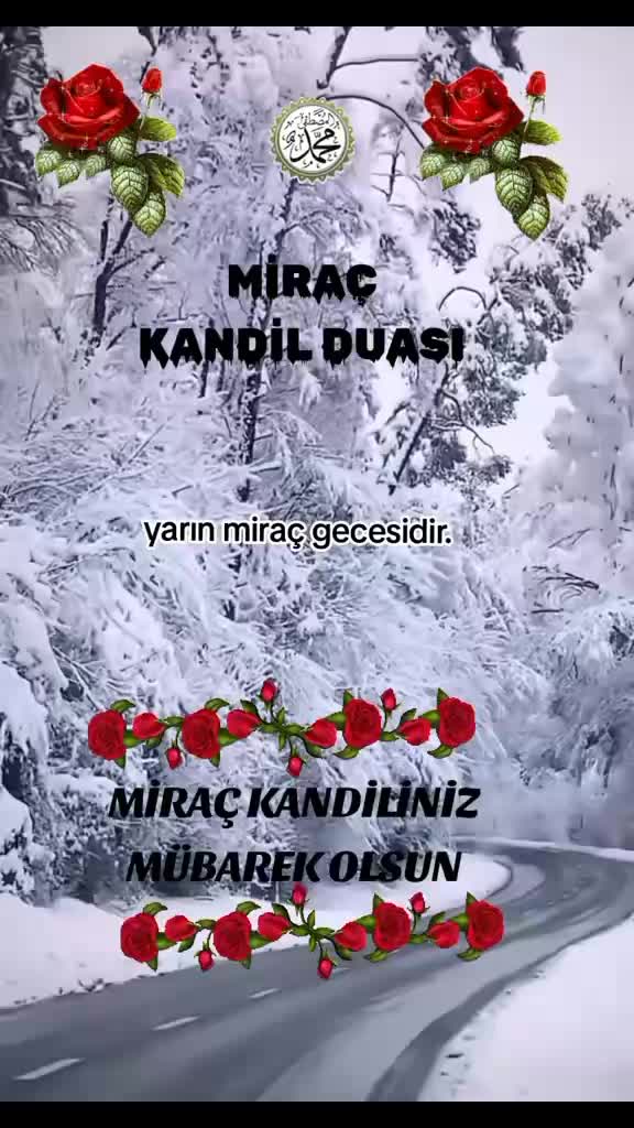 @Erhan elitas 05