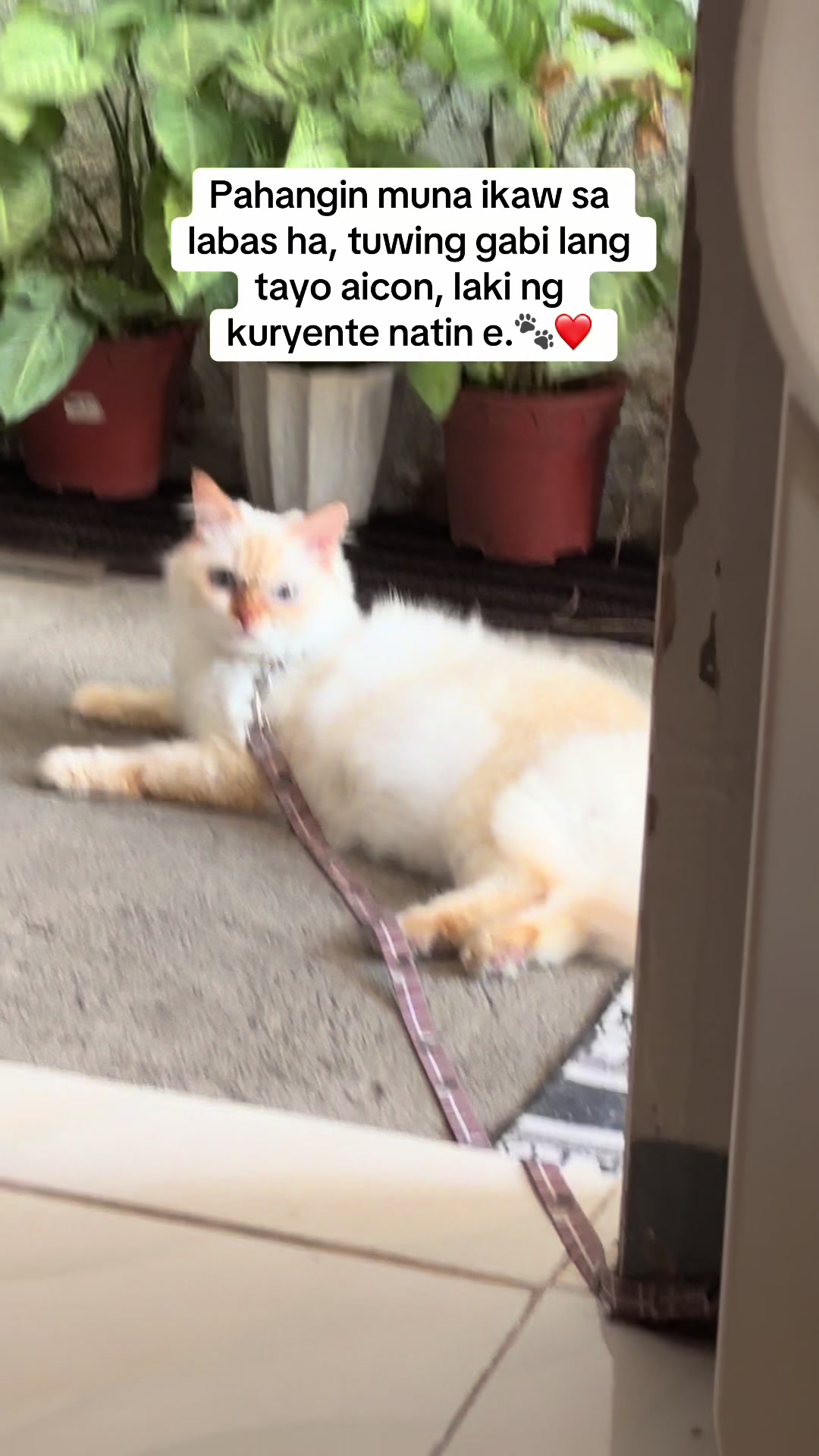 @Ate Neth_finds💎
