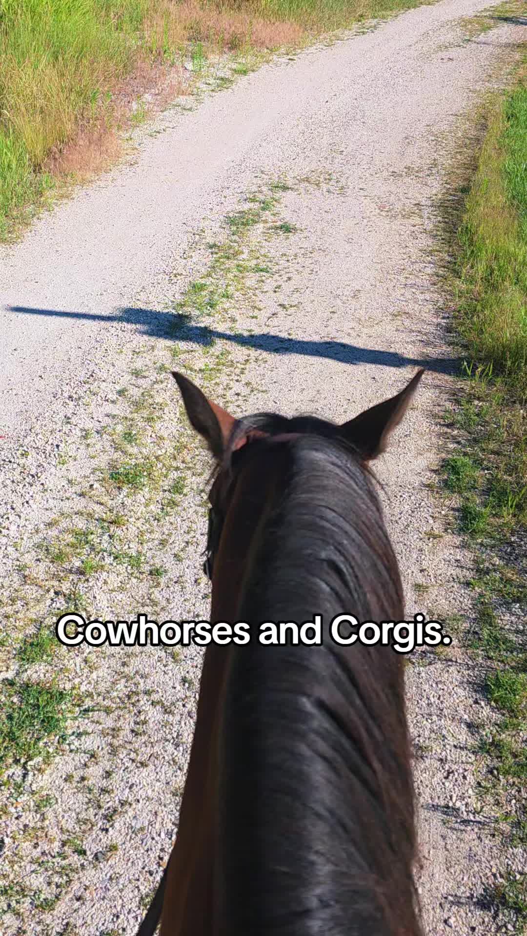 @🐴 ColdMountainRanch 🏇