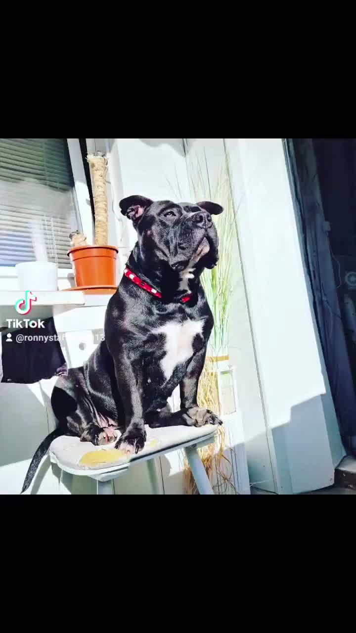 @Ruhepohl 🙏🏻🤪