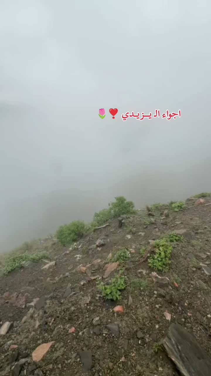 @الـ يـــــزيـــــدي🫡