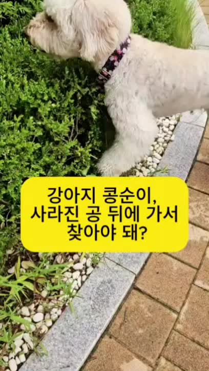@백서현218