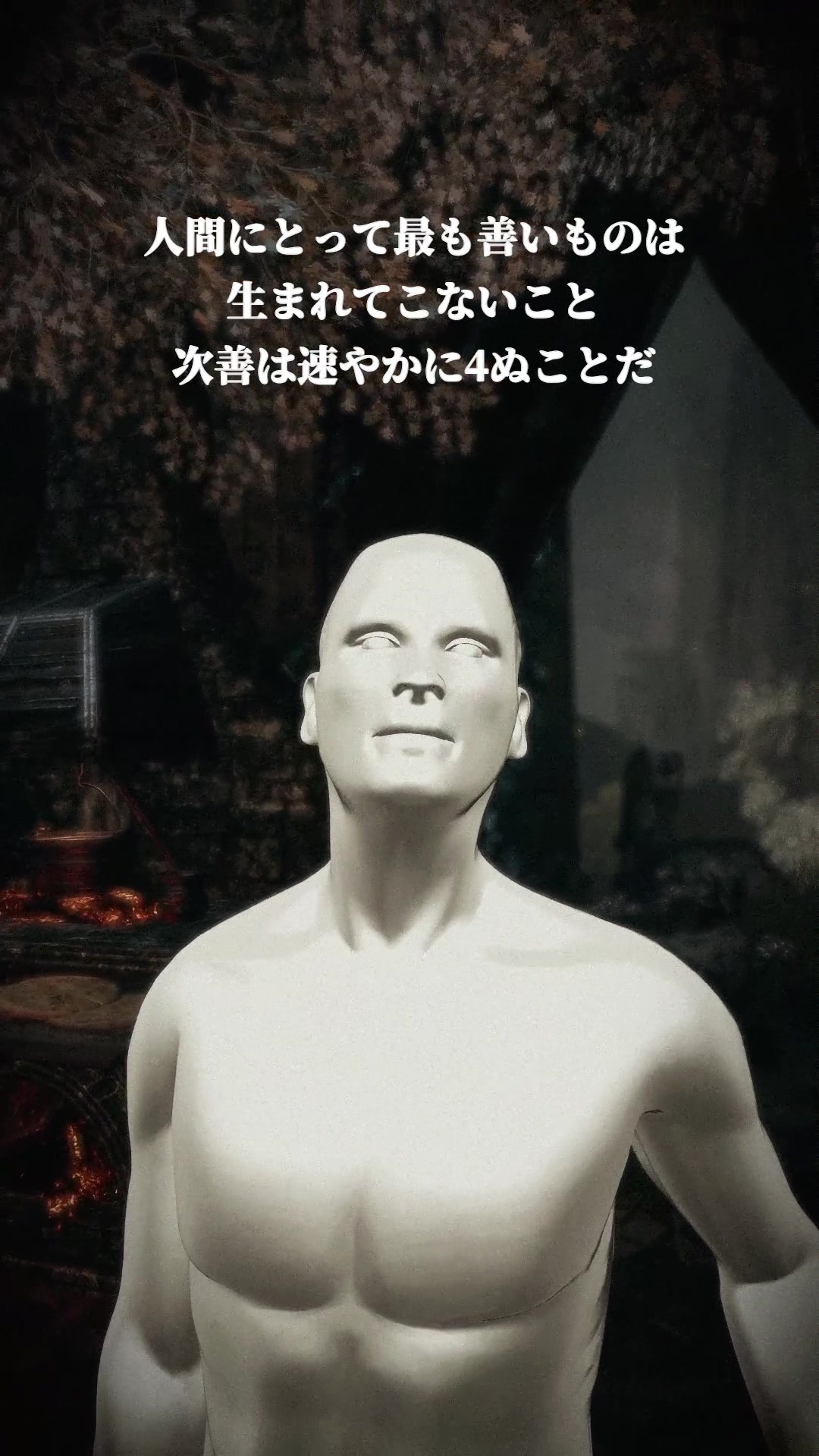 @異世界の叡智🌱👁️