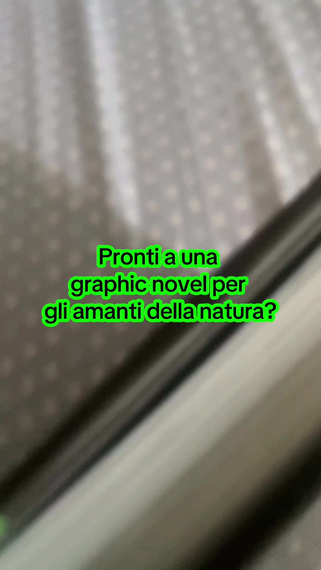 @susytoma