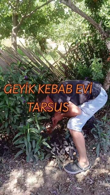 @Murat kayda