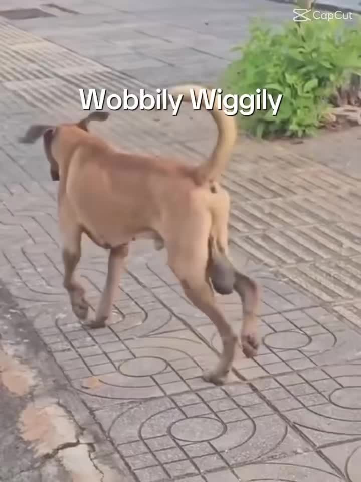 @Kjnnnnnnnnn