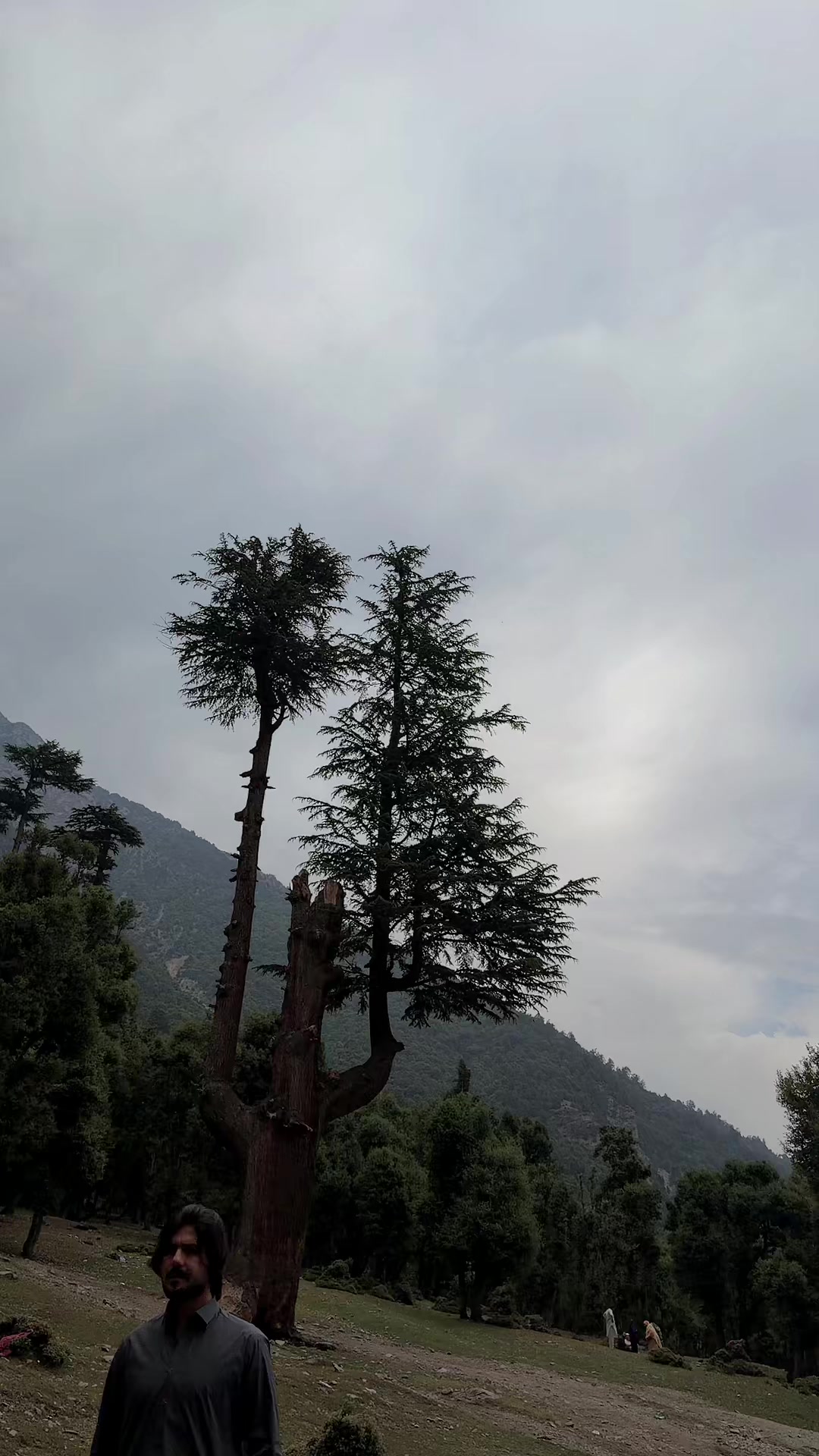 @Zahidarmanptitiger🥰